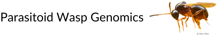 Parasitoid Wasp Genomics in text with a wasp to the right